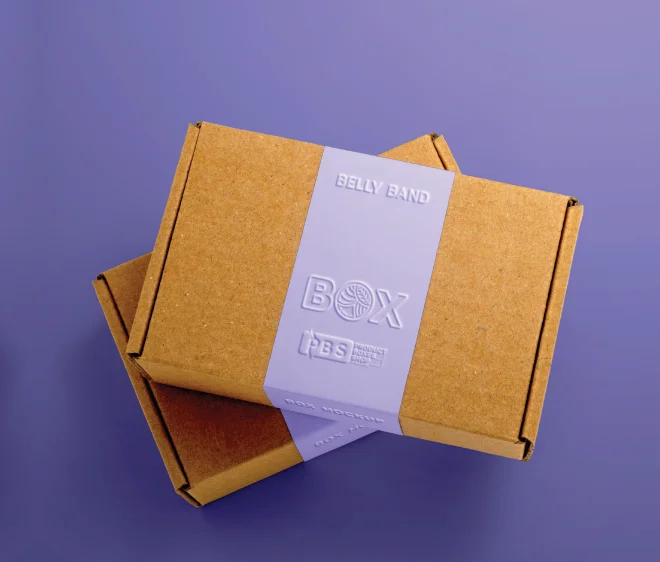 Printed Kraft Mailer Boxes